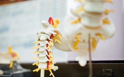 Understanding Sciatic Nerve Pain: Causes, Triggers, and Home Remedies