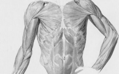 Thoracic Outlet Syndrome vs. Cervical Disc Pain: understanding different types of arm numbness