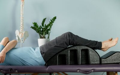 Why Chiropractic Care Is Essential for Posture, Pain Relief & Family Health