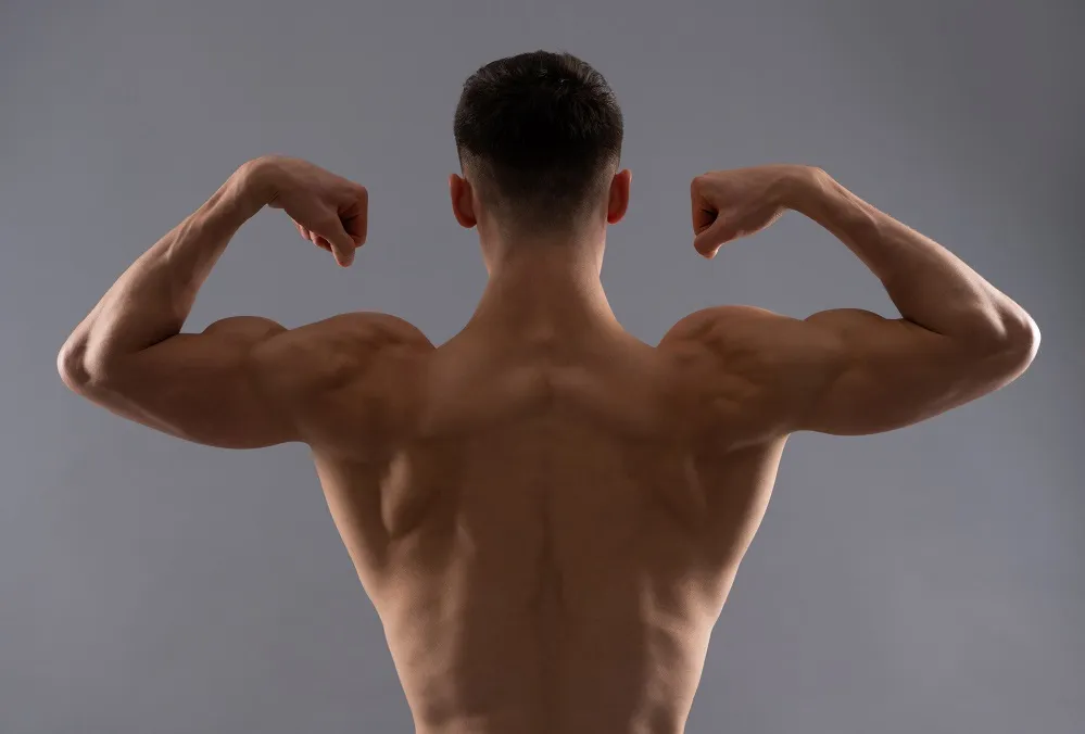 chiropractor family chiro